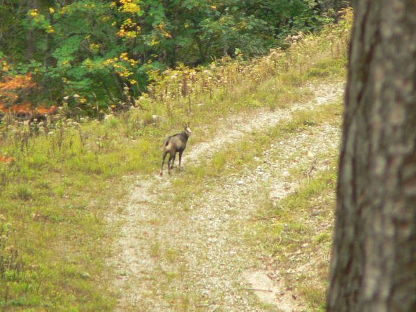 Kattints ide a teljes kép megtekintéséhez