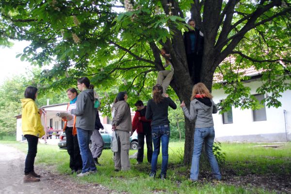 Kattints ide a teljes kép megtekintéséhez