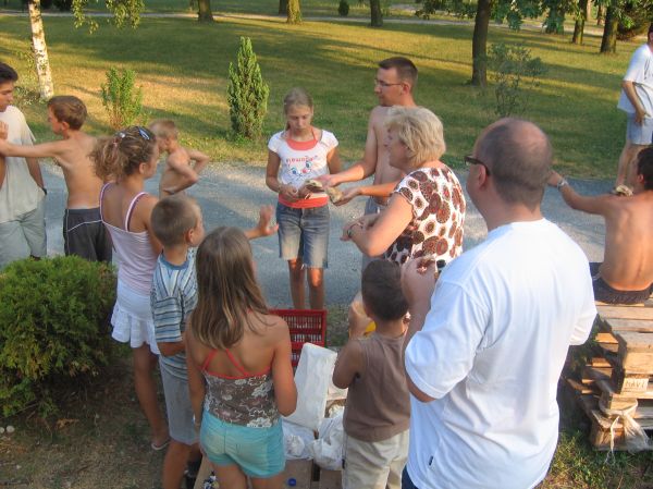 Kattints ide a teljes kép megtekintéséhez