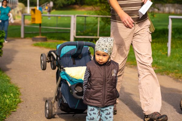 Kattints ide a teljes kép megtekintéséhez