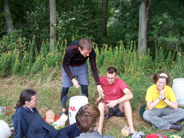 Kattints ide a teljes kép megtekintéséhez