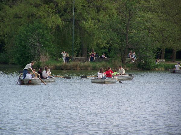 Kattints ide a teljes kép megtekintéséhez