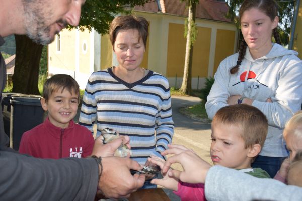 Kattints ide a teljes kép megtekintéséhez