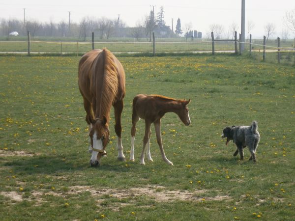 Kattints ide a teljes kép megtekintéséhez