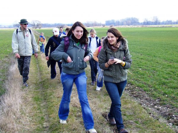 Kattints ide a teljes kép megtekintéséhez