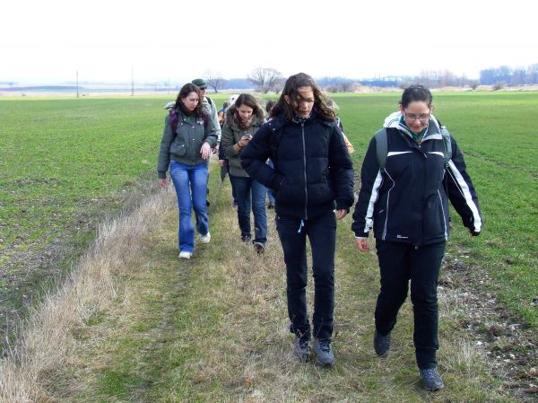 Kattints ide a teljes kép megtekintéséhez