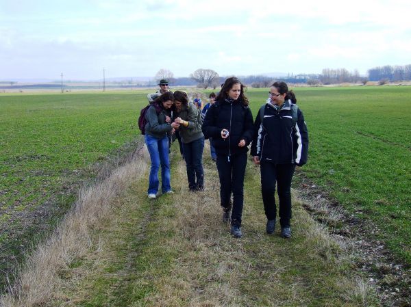 Kattints ide a teljes kép megtekintéséhez