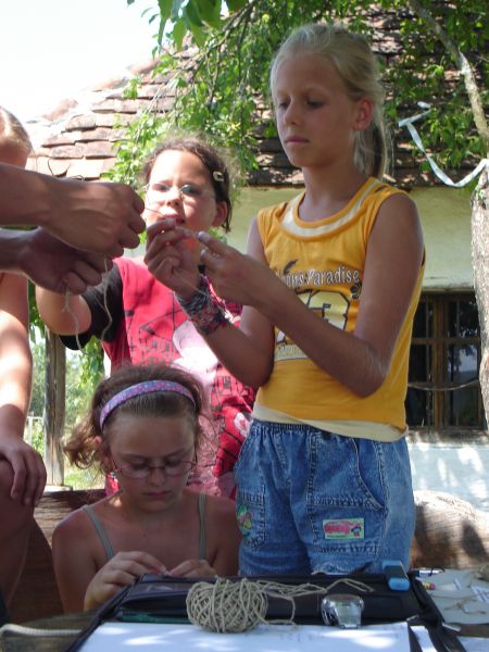 Kattints ide a teljes kép megtekintéséhez