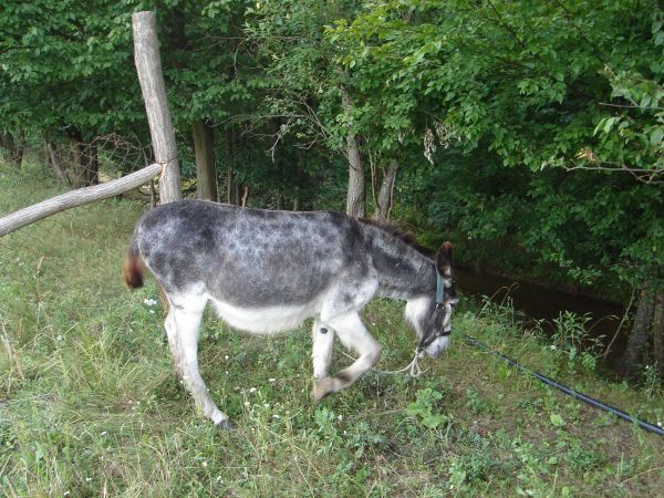 Kattints ide a teljes kép megtekintéséhez