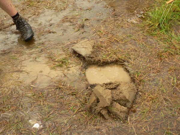 Kattints ide a teljes kép megtekintéséhez