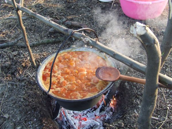 Kattints ide a teljes kép megtekintéséhez