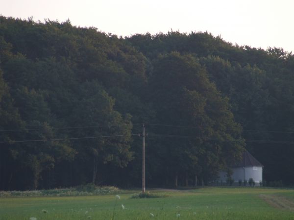 Kattints ide a teljes kép megtekintéséhez