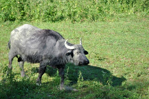 Kattints ide a teljes kép megtekintéséhez