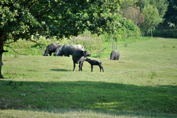 Kattints ide a teljes kép megtekintéséhez