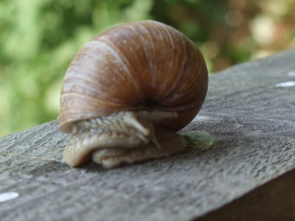 Kattints ide a teljes kép megtekintéséhez