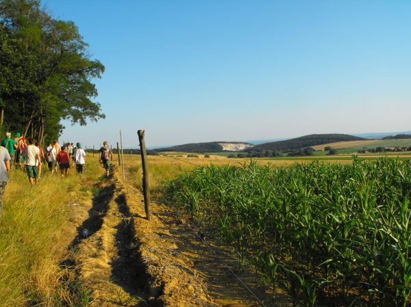 Kattints ide a teljes kép megtekintéséhez