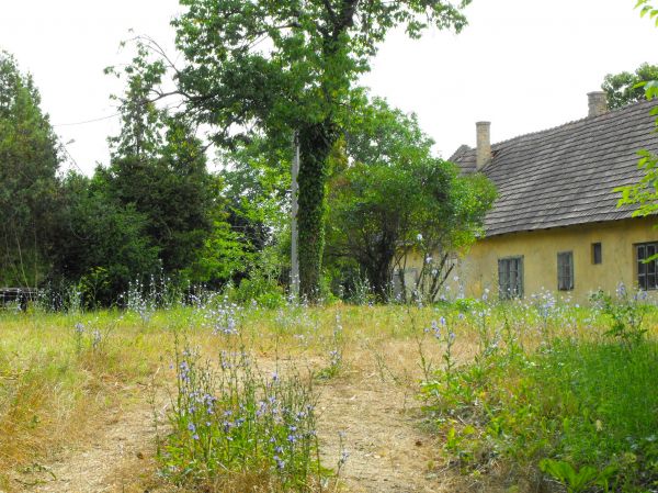 Kattints ide a teljes kép megtekintéséhez