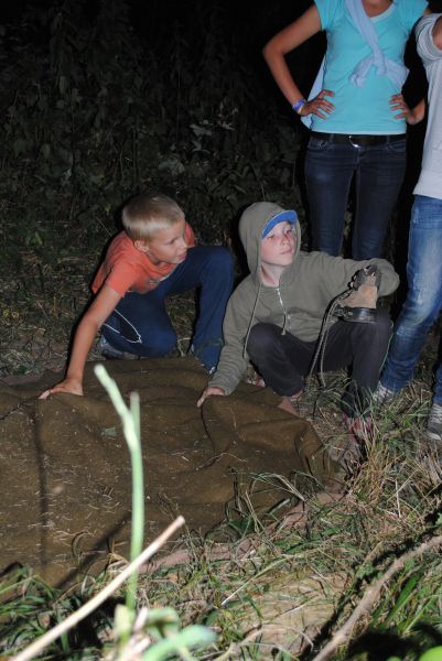 Kattints ide a teljes kép megtekintéséhez