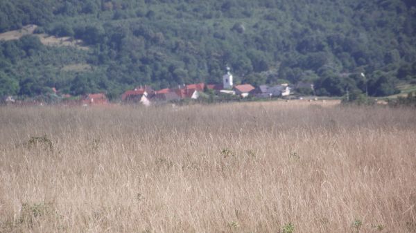 Kattints ide a teljes kép megtekintéséhez