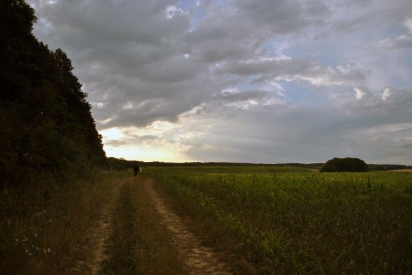 Kattints ide a teljes kép megtekintéséhez