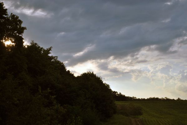 Kattints ide a teljes kép megtekintéséhez