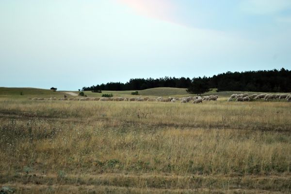 Kattints ide a teljes kép megtekintéséhez