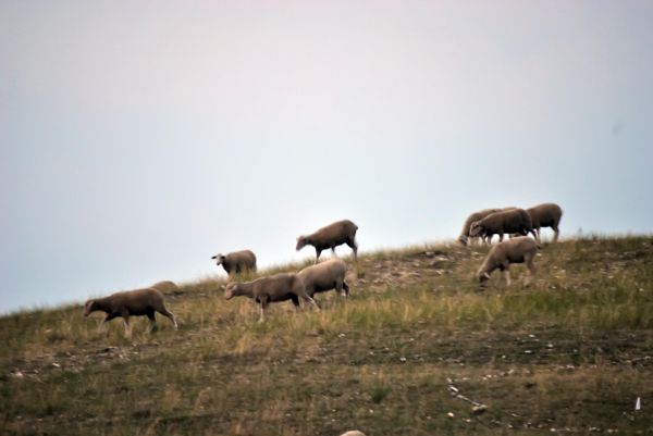 Kattints ide a teljes kép megtekintéséhez