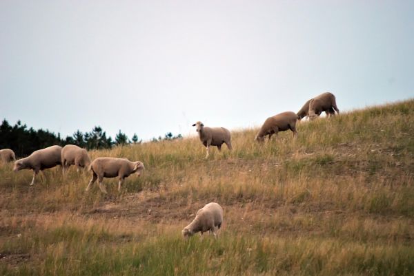 Kattints ide a teljes kép megtekintéséhez