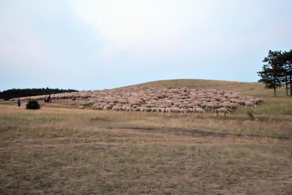 Kattints ide a teljes kép megtekintéséhez