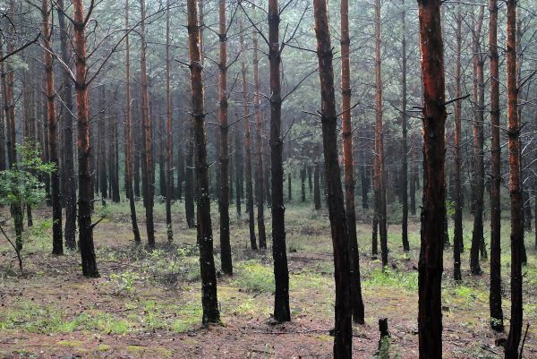 Kattints ide a teljes kép megtekintéséhez