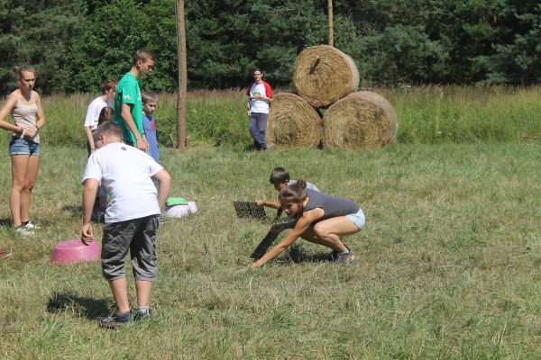 Kattints ide a teljes kép megtekintéséhez