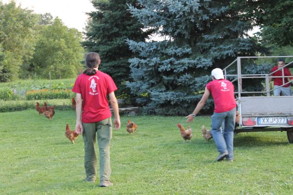 Kattints ide a teljes kép megtekintéséhez