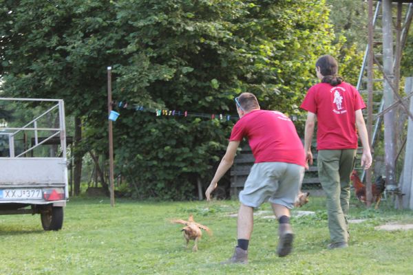 Kattints ide a teljes kép megtekintéséhez