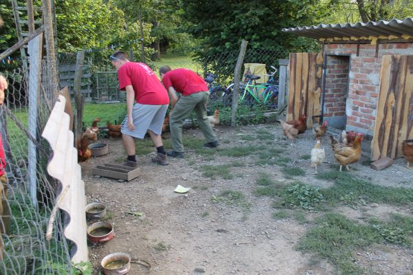 Kattints ide a teljes kép megtekintéséhez