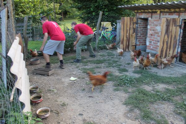 Kattints ide a teljes kép megtekintéséhez