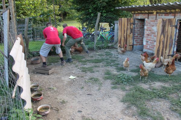 Kattints ide a teljes kép megtekintéséhez