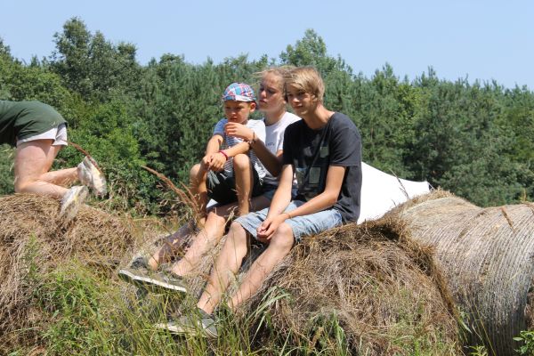 Kattints ide a teljes kép megtekintéséhez