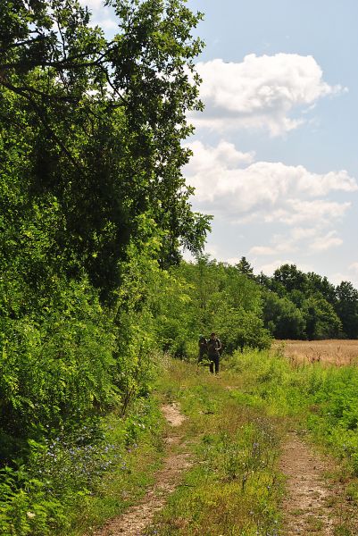 Kattints ide a teljes kép megtekintéséhez