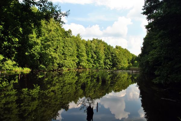 Kattints ide a teljes kép megtekintéséhez