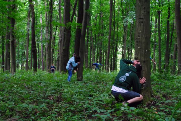 Kattints ide a teljes kép megtekintéséhez