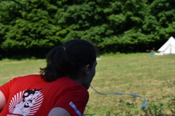 Kattints ide a teljes kép megtekintéséhez