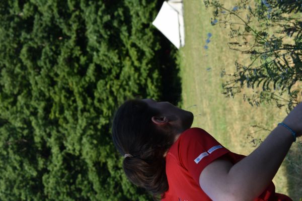 Kattints ide a teljes kép megtekintéséhez