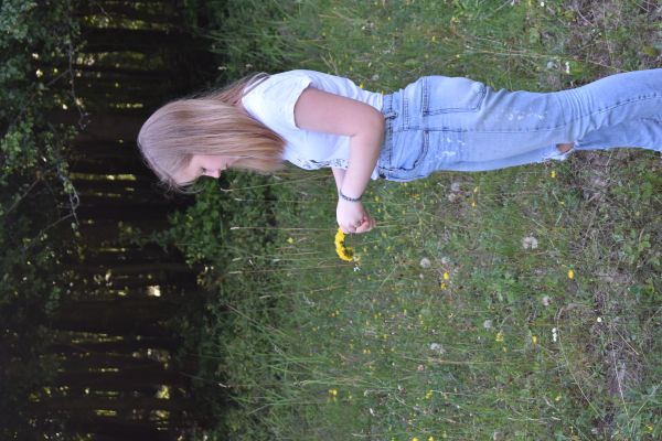 Kattints ide a teljes kép megtekintéséhez