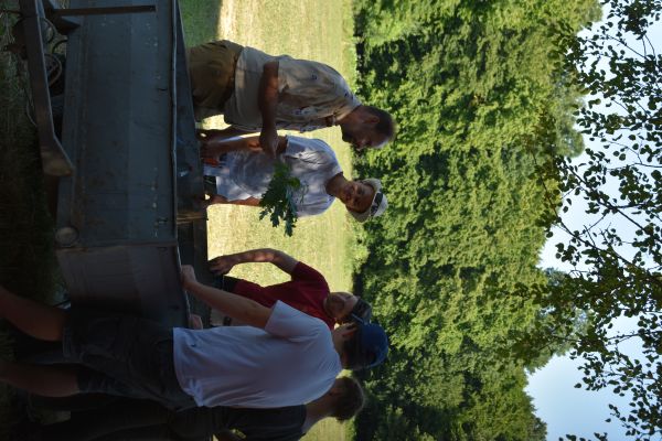 Kattints ide a teljes kép megtekintéséhez