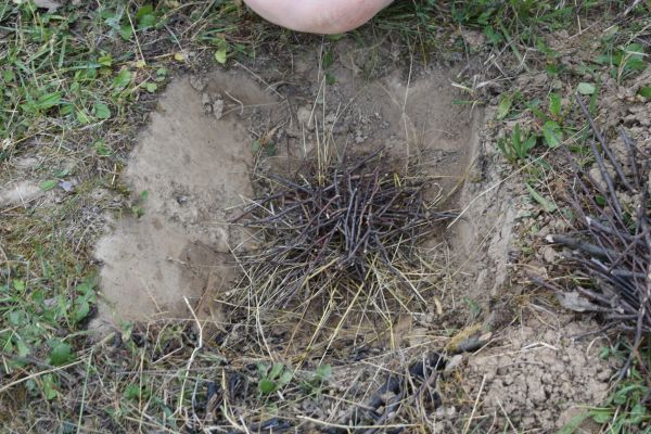 Kattints ide a teljes kép megtekintéséhez