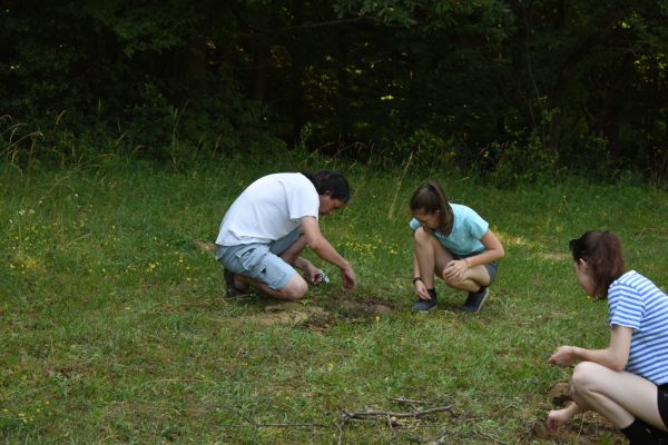 Kattints ide a teljes kép megtekintéséhez