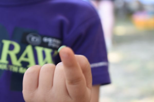 Kattints ide a teljes kép megtekintéséhez