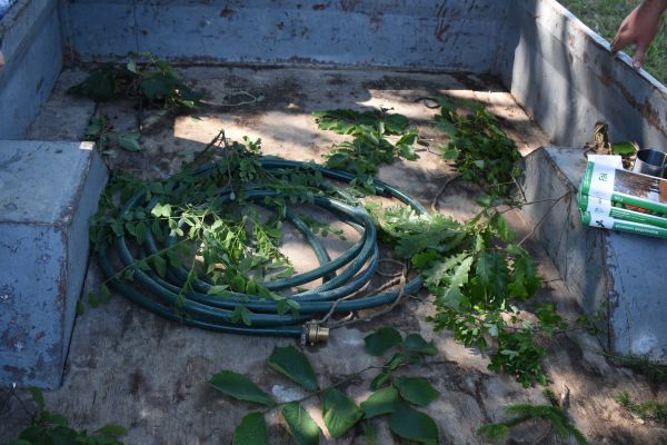 Kattints ide a teljes kép megtekintéséhez