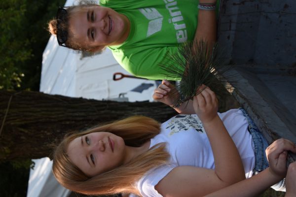 Kattints ide a teljes kép megtekintéséhez