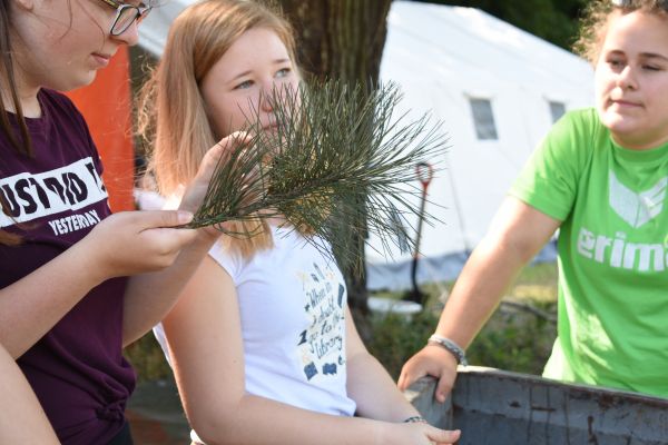 Kattints ide a teljes kép megtekintéséhez